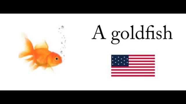 Pets смотреть онлайн