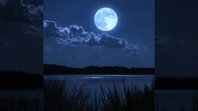 Пилигримы - Иосиф Бродский смотреть онлайн