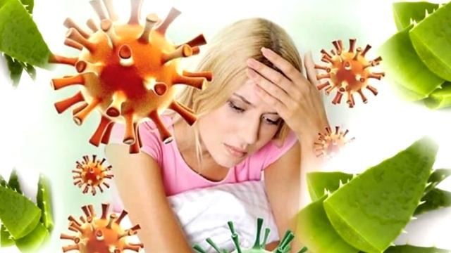 Плесень: некоторые факты, опасность и способы профилактики.