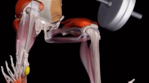 Эффективные Приседания для Ног и Ягодиц/ Goblet Squat