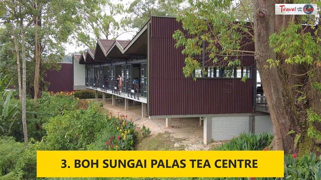 Four best Gardens & Plantations to visit in Cameron Highlands смотреть онлайн