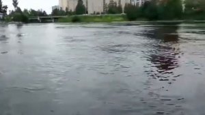 РИБ Навигатор 450 R + Tohatsu 30