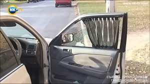 автошторки на передних дверях автомобилей вне закона
