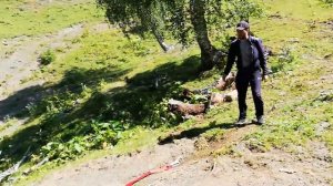 Архыз Пхия, продолжаем спасать ниву.