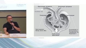 Нефропротекция. Защита почек. Школа для нефрологического пациента.