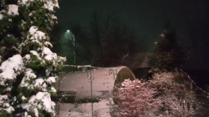 Дом в цветах//Мой сад . Конец ноября.