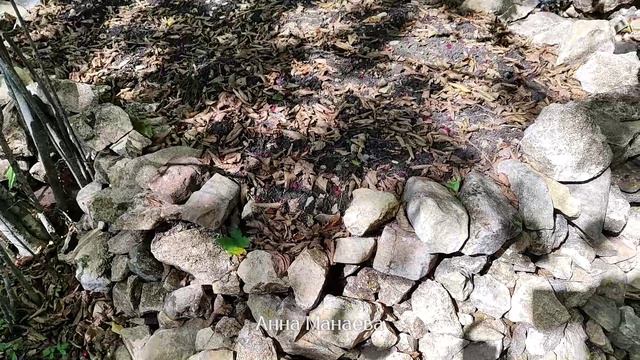 Необъяснимые странности посёлка Каменномостский, Республика Адыгея
