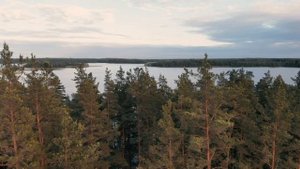 озеро Днико, Псковская область, 2020. DJI Mavic Air