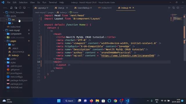 NEXTJS + MYSQL CRUD Tutorial for Beginners 2023 - #4 Link custom CSS an JS files