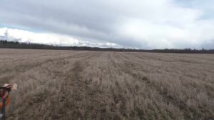 ВЫКОПАЛ В ОГОРОДЕ С МЕТАЛЛОИСКАТЕЛЕМ ЦАРСКИЕ МОНЕТЫ И НЕОБЫЧНЫЕ НАХОДКИ КОП МОНЕТ 2020