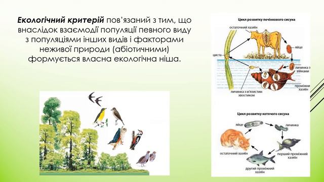 8.  СУЧАСНІ КРИТЕРІЇ ВИДУ / Біологія і екологія