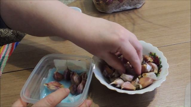 Лучшие витамины весной. Выгонка чеснока на перо.
