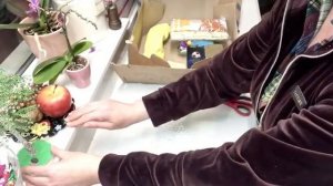 ПОДАРКИ ОТ ОЛЬГИ ИЗ РОССИИ В ИРЛАНДИЮ ? PRESENTS FROM OLGA ?@Amond