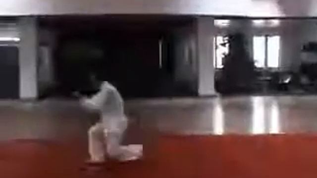 Выполнение формы кунг-фу. смотреть онлайн