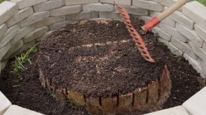 Comment faire composter une souche d’arbre ? - Conseils de jardinage STIHL