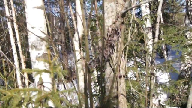 Агалатово, СНТ Касимово смотреть онлайн