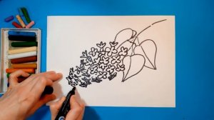 Как нарисовать СИРЕНЬ (ВЕСНА). Рисуем с детьми. How to draw SPRING FLOWERS.