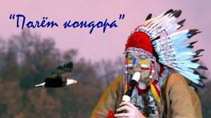 "Полёт кондора"