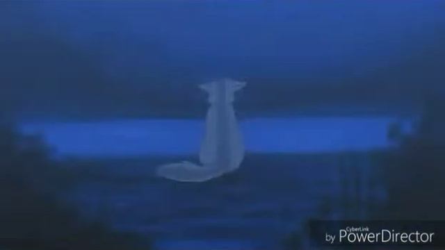 Крутобок и Серебрянка:Кафель Коты воители