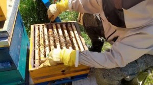 Ч.2. МНОГОКОРПУСНОЙ УМНЫЙ УЛЕЙ И МЕТОДЫ ПЧЕЛОВОЖДЕНИЯ, ПОДРОБНО.
