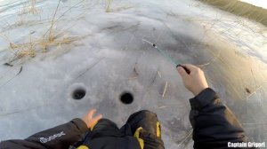 Зимний окунь Ладожского озера, Нижняя Шальдиха, первый лед, perch