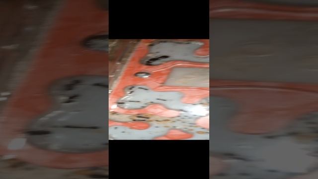 муравьи и муравьиная ферма!
