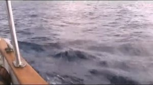 Жизнь на воде - Путешествие 8-й день