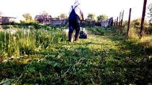 Косилка для высокой травы ЛопЛош, май 2016