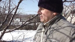 Обрезка абрикоса весной