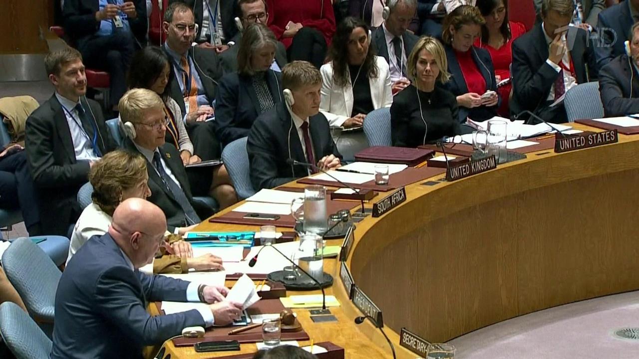 На заседании Совбеза ООН по ситуации в Идлибе не удалось принять ни один из вариантов резолюции