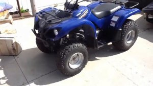 2008 Yamaha Grizzly 125