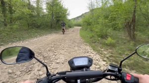 Поездка в лес на альфе.