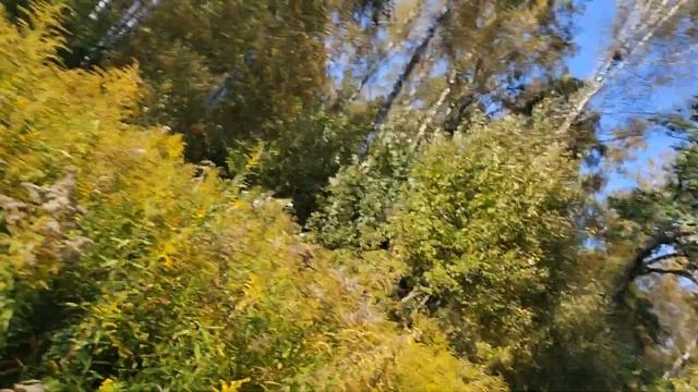 Народилась прогулка смотреть онлайн