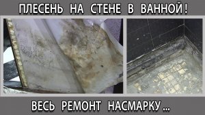 Плесень на стене в ванной комнате. Потёк душевой поддон. Весь ремонт насмарку.