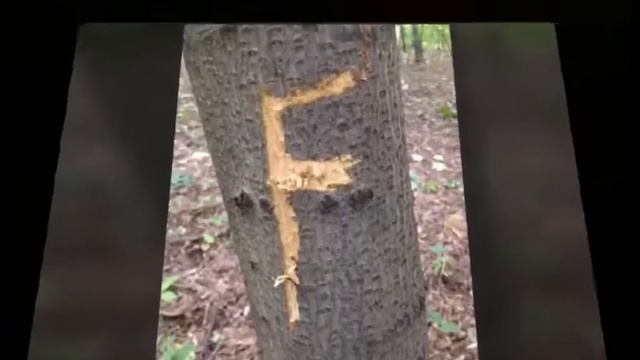 Интро от бога😅 смотреть онлайн