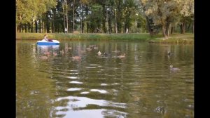 Куда сходить в Питере: как где отдохнуть в Питере недорого. Куда поехать на выходные? В парк!