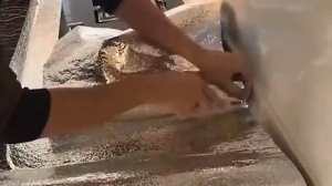 Как правильно наклеивать кухонную фольгу-стикер