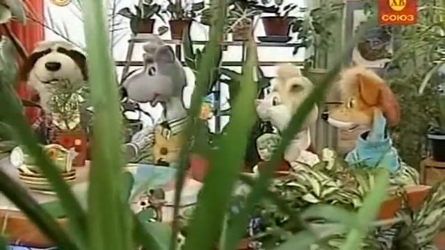 Зимний сад Сосна смотреть онлайн