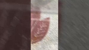 Паук-крестовик против паука-осы бой двух пауков Паук-крестовик укусил паука-осу