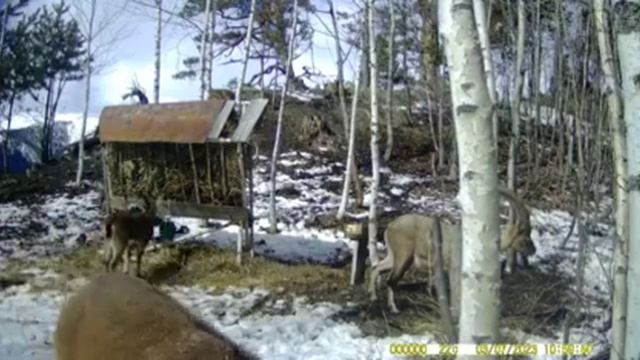 Республика Дагестан Цунтинский район село Хутрах#горы#туризм#природа2023г