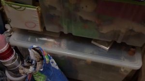 Обустройство кладовки