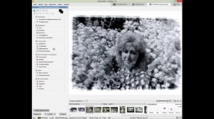 Как оцифровать фото - слайдовые пленки с помощью фотоувеличителя