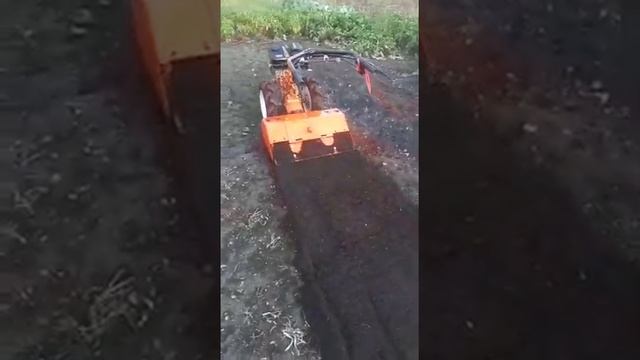 Мотоблок Кутаиси Супер 610 с новым двигателем 7л.с. Работа с фрезой. смотреть онлайн