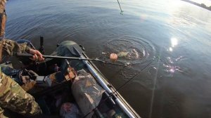 Рыбалка на леща. Ловля леща на Вятке.