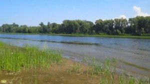 Где река Большой Иргиз впадает в Волгу