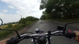 мигея сузуки ван ван