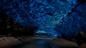 ИСТОРИЯ ПАЙПЕР ИЗ БРАВЛ СТАРС