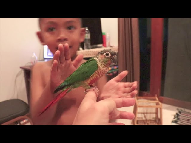 Самуи - тайский мальчик, скутер в аренду и централ фестиваль смотреть онлайн