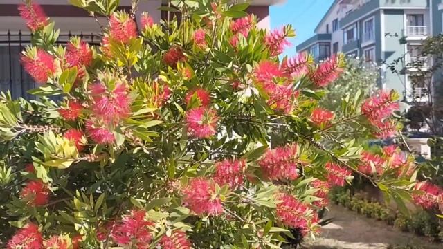 Тетя планировала и дальше жить в квартире племянницыне платя ни копейкинамекая на точто они-родн