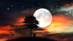 "СЕКТОР ГАЗА ". ВОЙ НА ЛУНУ